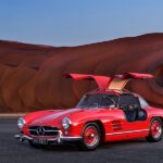 The Red Gullwing - Fine Art Photography by Tim Scott